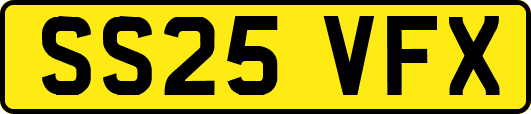 SS25VFX