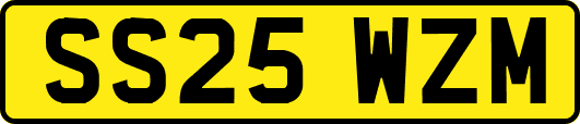 SS25WZM