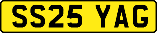 SS25YAG