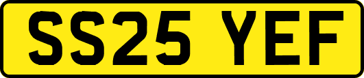 SS25YEF
