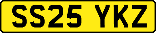 SS25YKZ