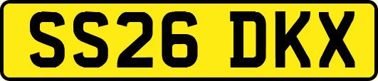 SS26DKX