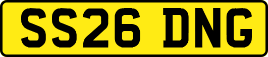 SS26DNG