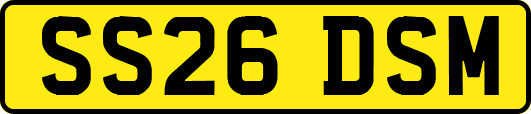 SS26DSM