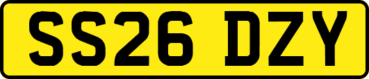SS26DZY