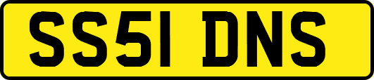 SS51DNS