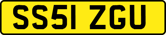 SS51ZGU