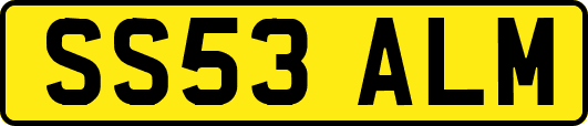 SS53ALM