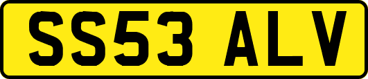 SS53ALV