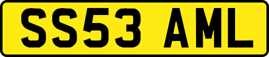 SS53AML