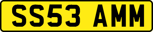 SS53AMM