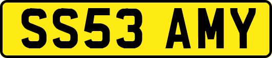 SS53AMY