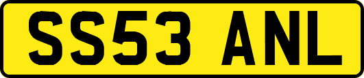 SS53ANL