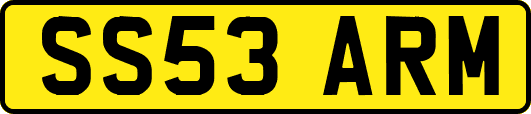 SS53ARM