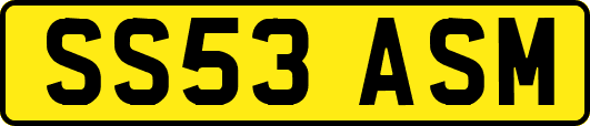 SS53ASM