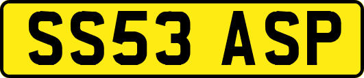 SS53ASP