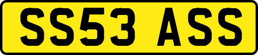 SS53ASS