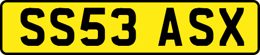 SS53ASX