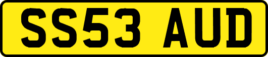 SS53AUD