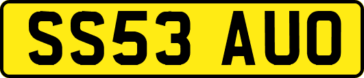 SS53AUO