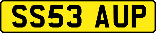 SS53AUP