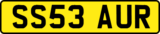 SS53AUR