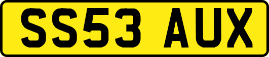 SS53AUX