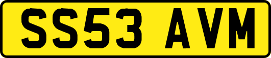 SS53AVM