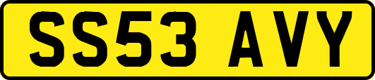 SS53AVY