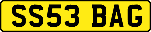 SS53BAG