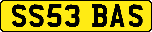 SS53BAS