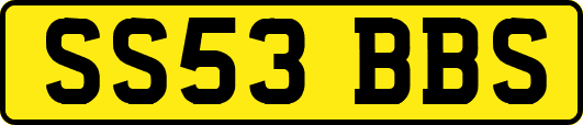 SS53BBS
