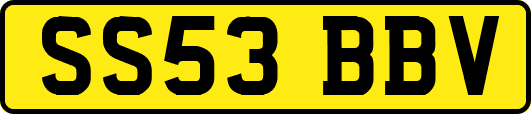 SS53BBV