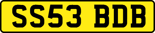 SS53BDB
