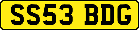 SS53BDG