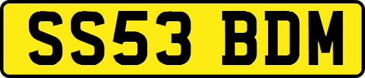 SS53BDM