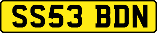 SS53BDN