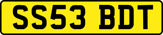 SS53BDT
