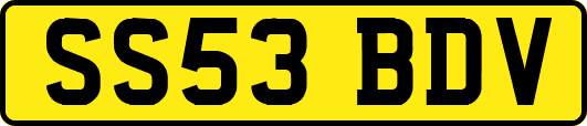SS53BDV