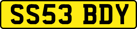 SS53BDY