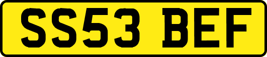 SS53BEF