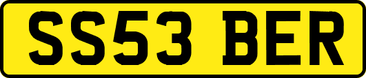 SS53BER