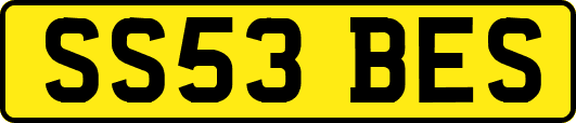 SS53BES