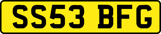 SS53BFG