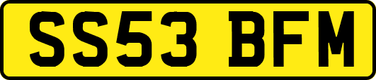 SS53BFM
