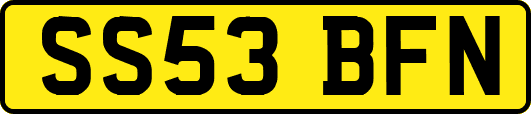 SS53BFN