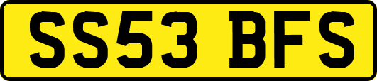SS53BFS