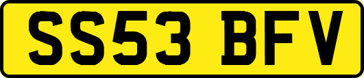 SS53BFV
