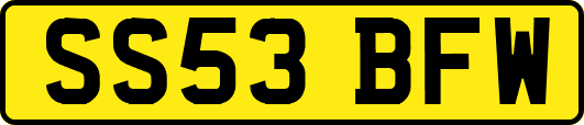 SS53BFW