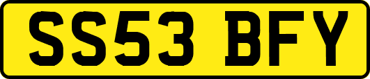 SS53BFY